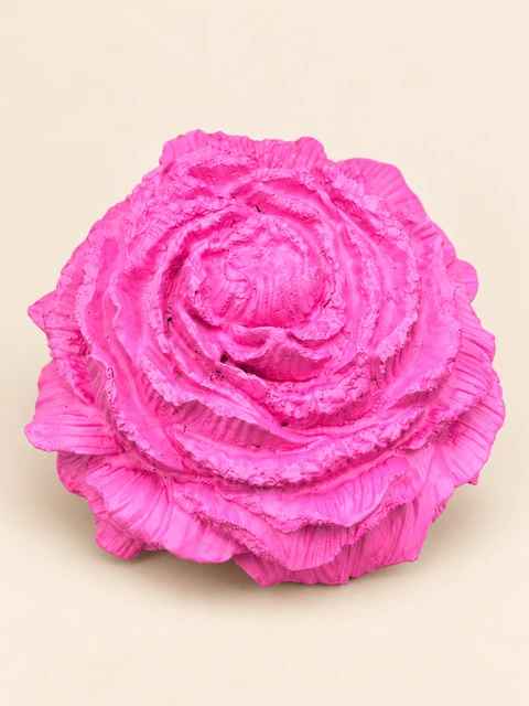 Bright pink rose with layered, ribbed petals and uneven edges