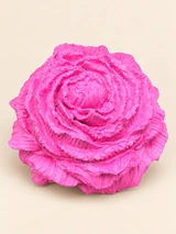 Bright pink rose with layered, ribbed petals and uneven edges